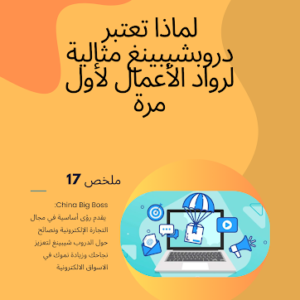 Why Dropshipping is Perfect for First-Time Entrepreneurs