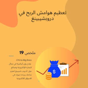 Maximizing Profit Margins in Dropshipping